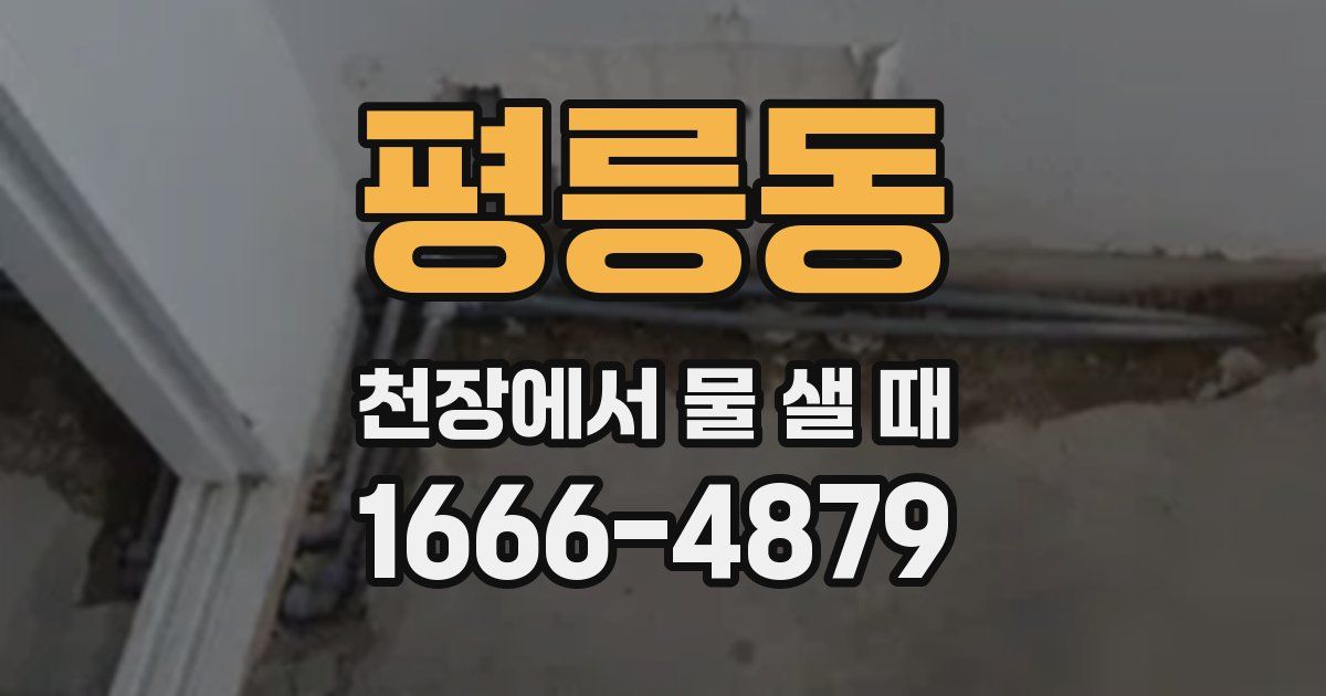 평릉동 천장에서 물 샐 때