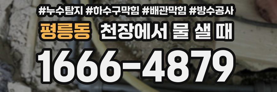평릉동 천장에서 물 샐 때
