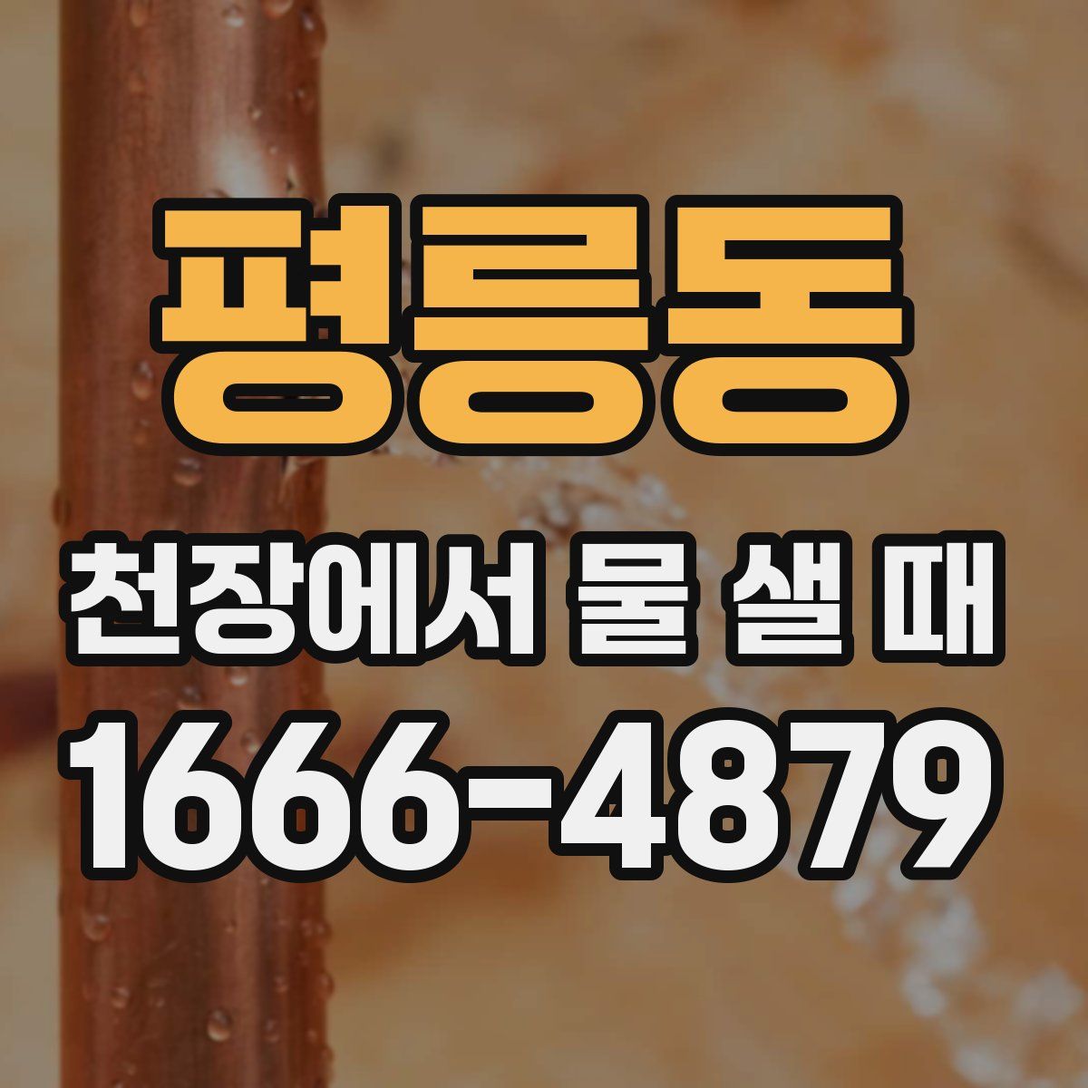 평릉동 천장에서 물 샐 때