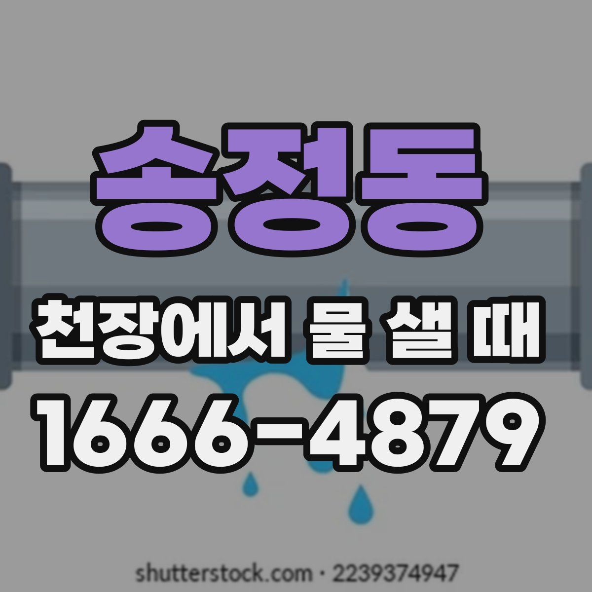 송정동 천장에서 물 샐 때