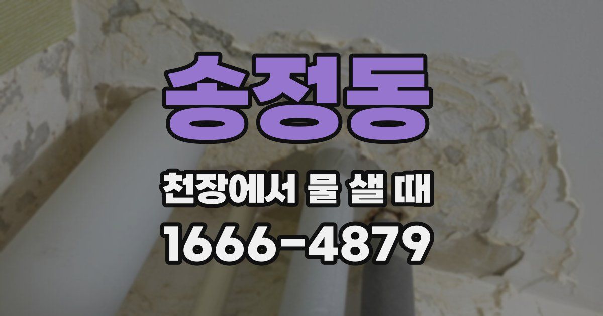 송정동 천장에서 물 샐 때