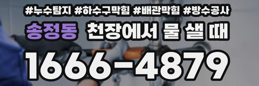 송정동 천장에서 물 샐 때
