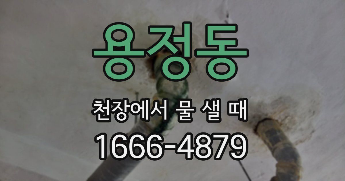 용정동 천장에서 물 샐 때