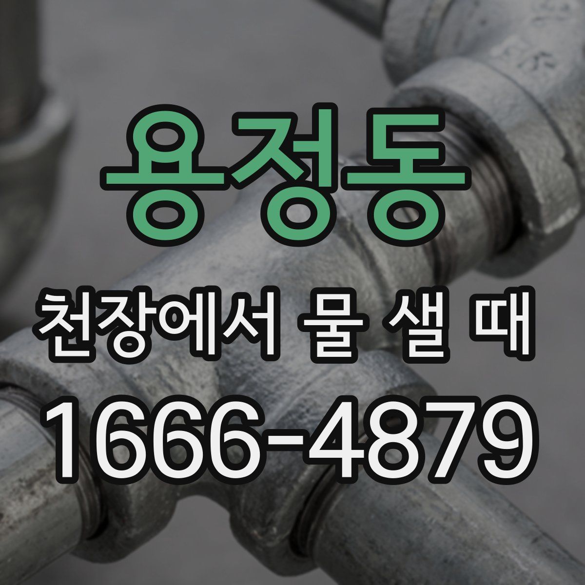 용정동 천장에서 물 샐 때