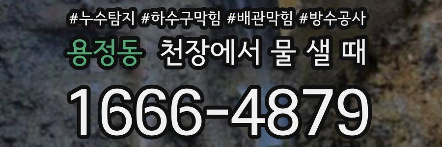 용정동 천장에서 물 샐 때