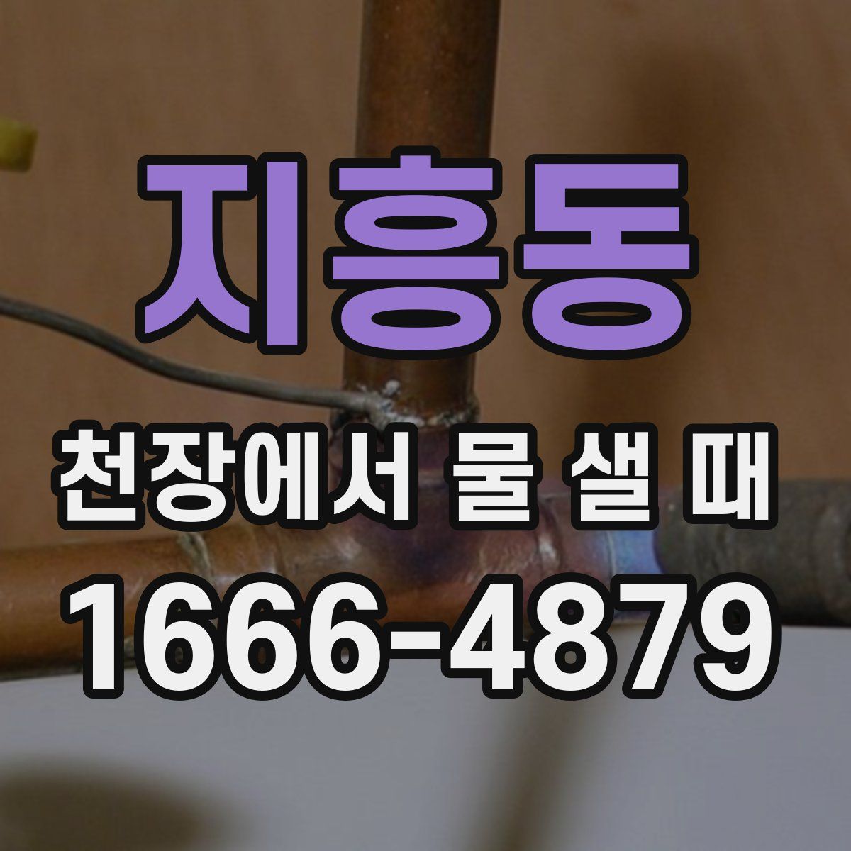 지흥동 천장에서 물 샐 때
