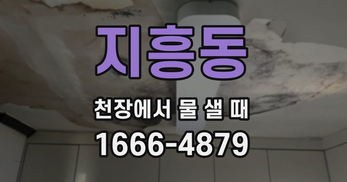 지흥동 천장에서 물 샐 때