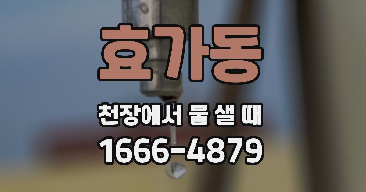 효가동 천장에서 물 샐 때