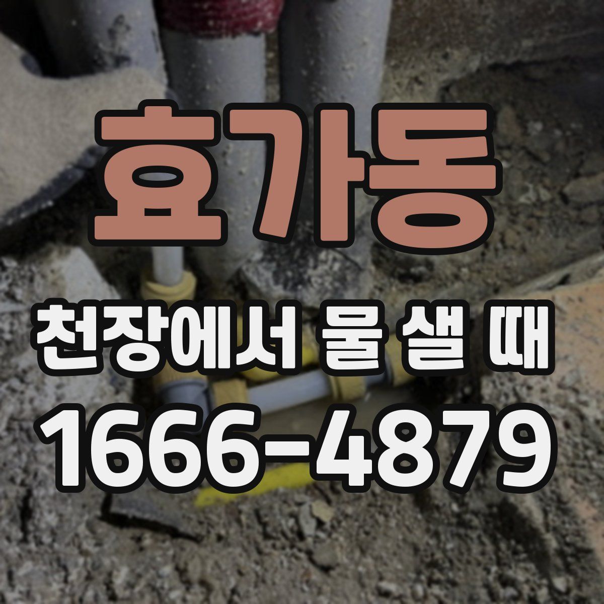효가동 천장에서 물 샐 때