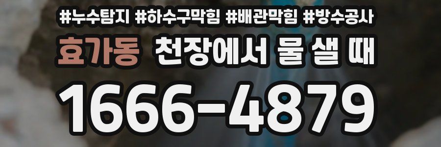 효가동 천장에서 물 샐 때