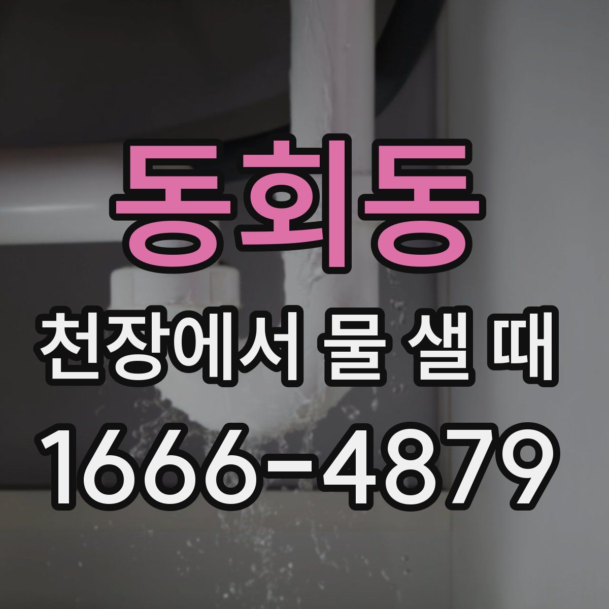 동회동 천장에서 물 샐 때
