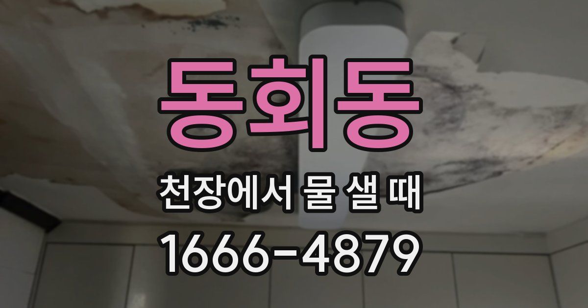 동회동 천장에서 물 샐 때