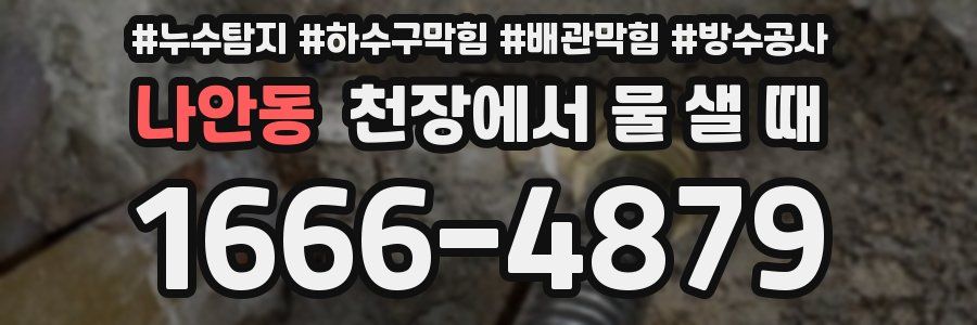 나안동 천장에서 물 샐 때