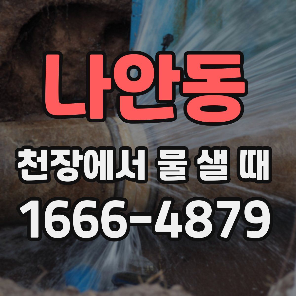 나안동 천장에서 물 샐 때