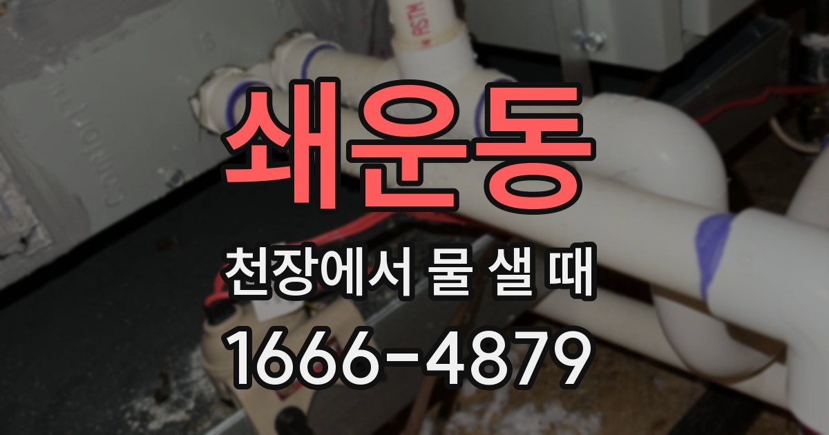쇄운동 천장에서 물 샐 때
