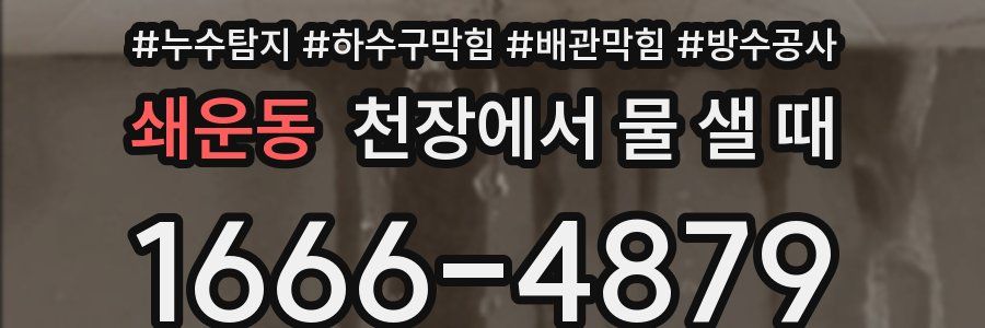 쇄운동 천장에서 물 샐 때
