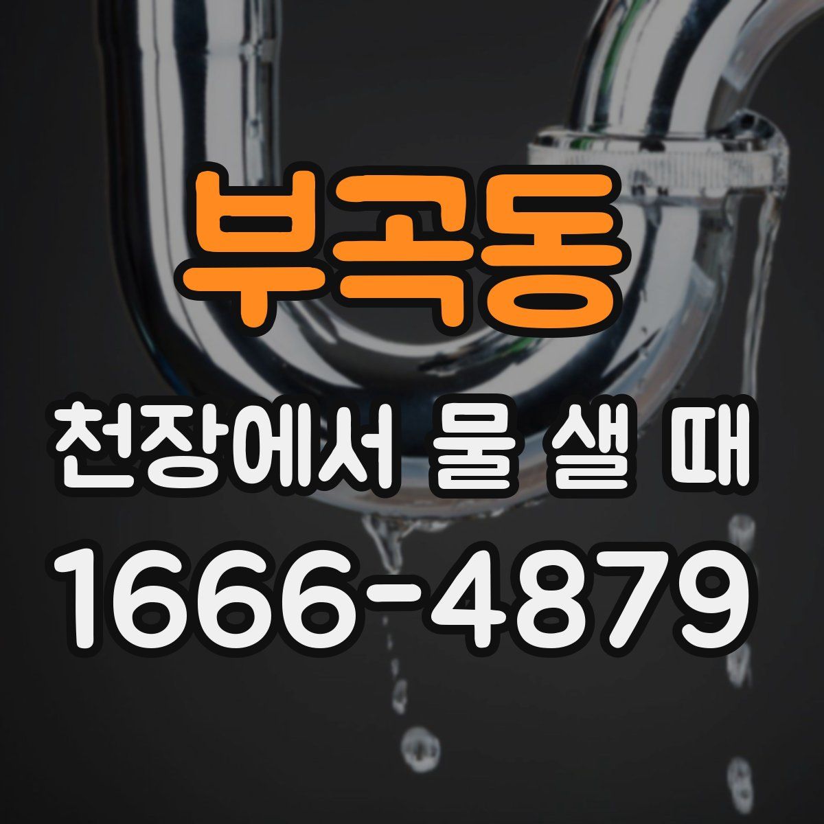 부곡동 천장에서 물 샐 때