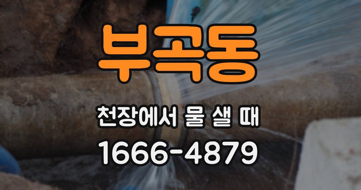 부곡동 천장에서 물 샐 때