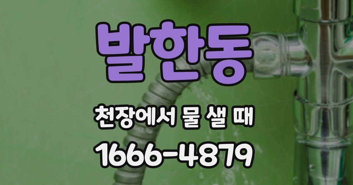 발한동 천장에서 물 샐 때