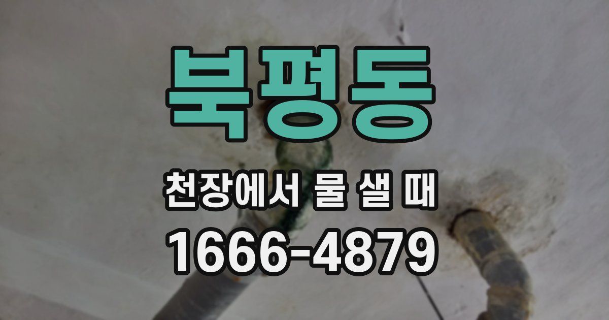 북평동 천장에서 물 샐 때