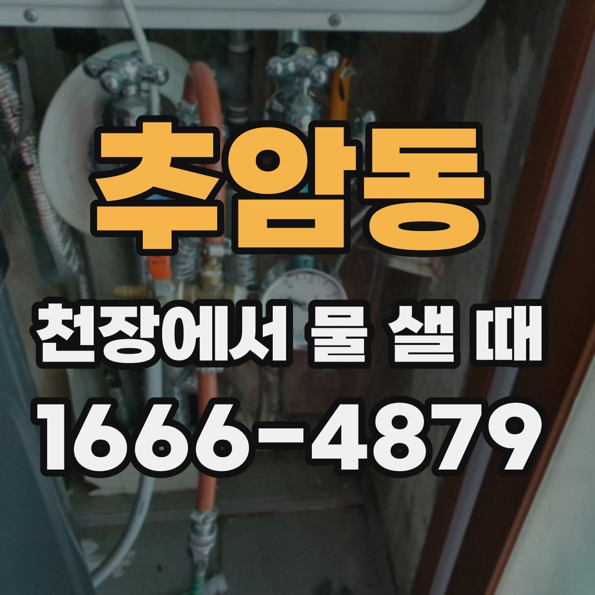 추암동 천장에서 물 샐 때