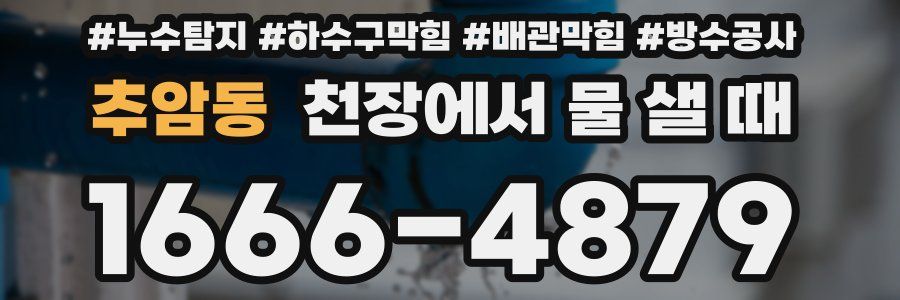 추암동 천장에서 물 샐 때