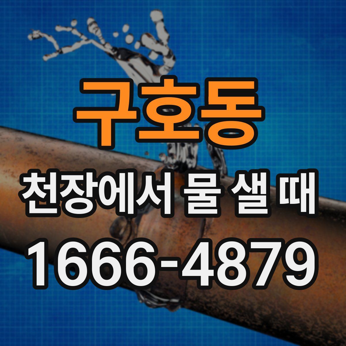 구호동 천장에서 물 샐 때