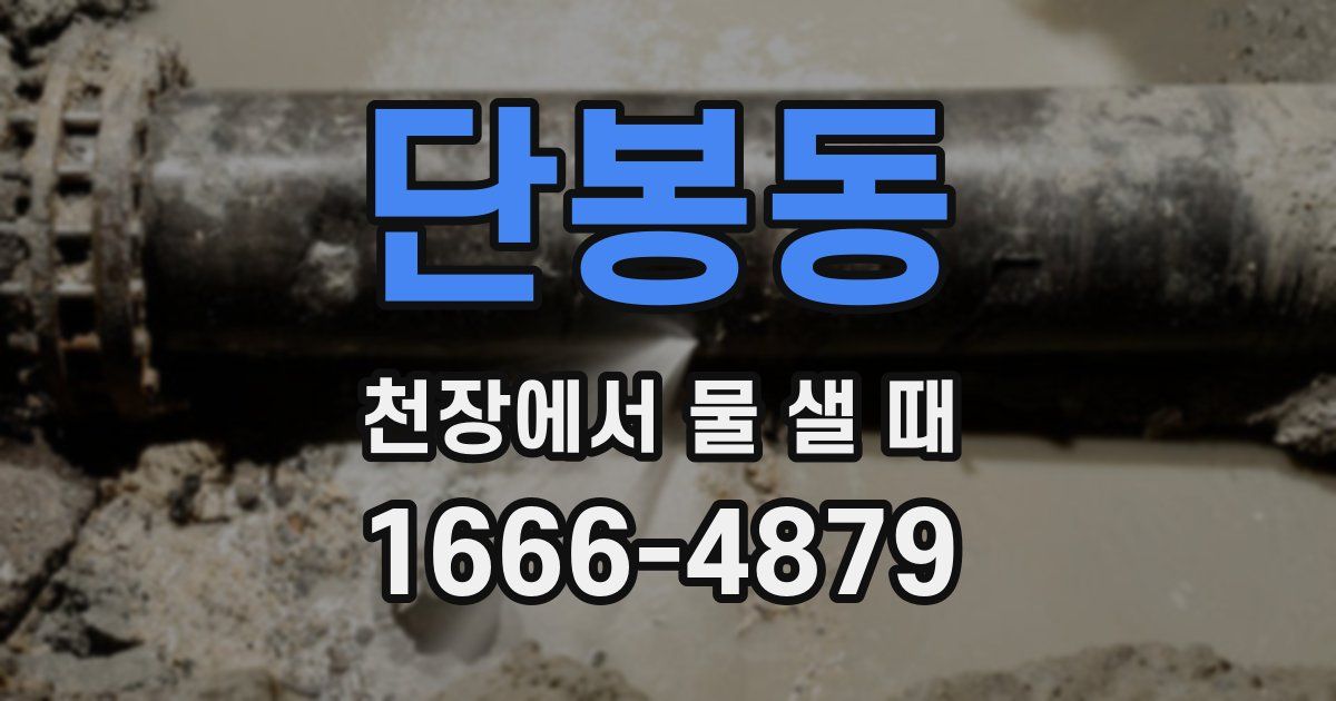 단봉동 천장에서 물 샐 때