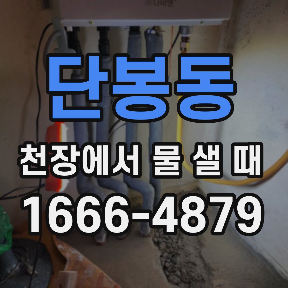 단봉동 천장에서 물 샐 때