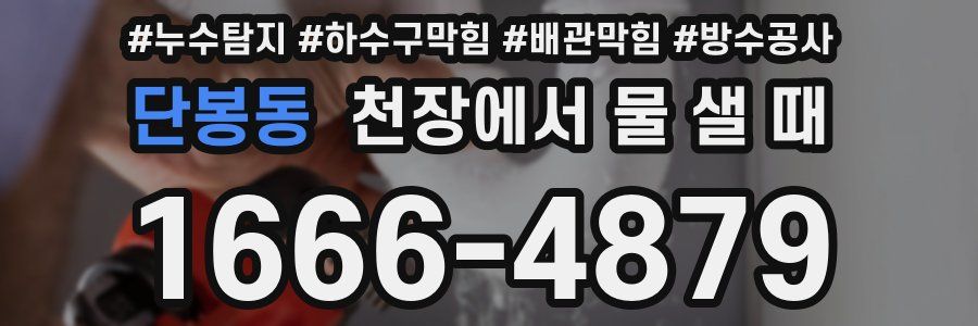 단봉동 천장에서 물 샐 때
