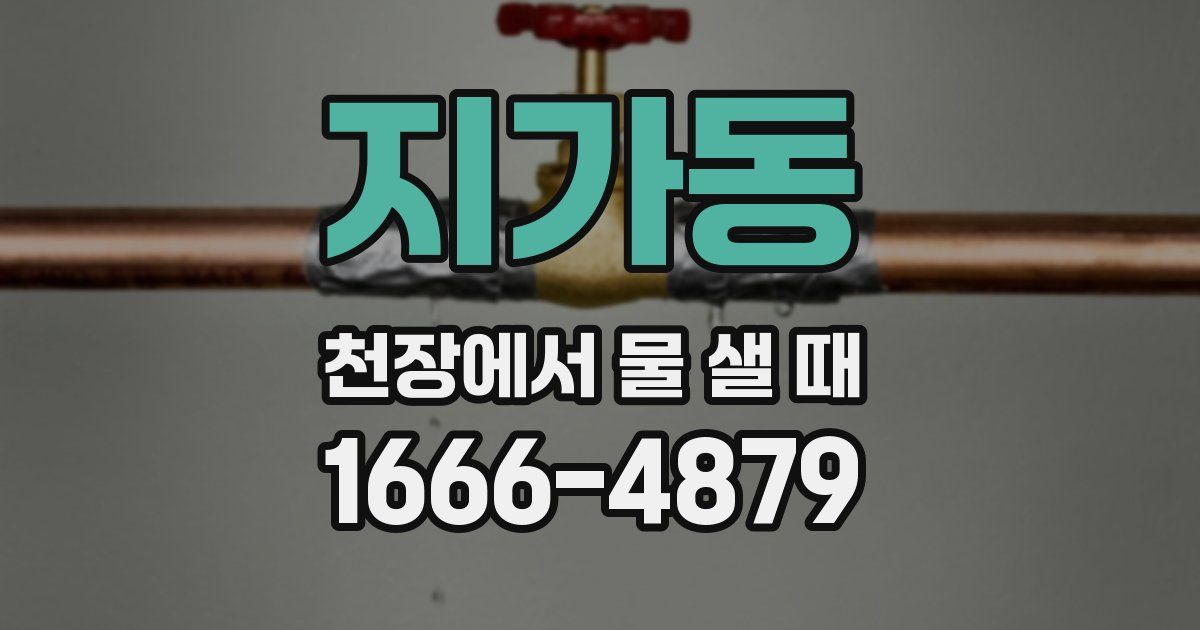 지가동 천장에서 물 샐 때