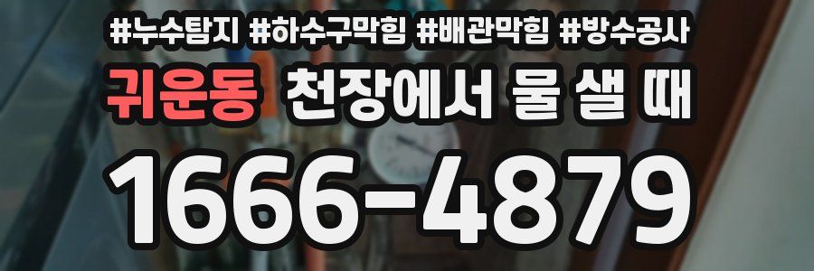 귀운동 천장에서 물 샐 때