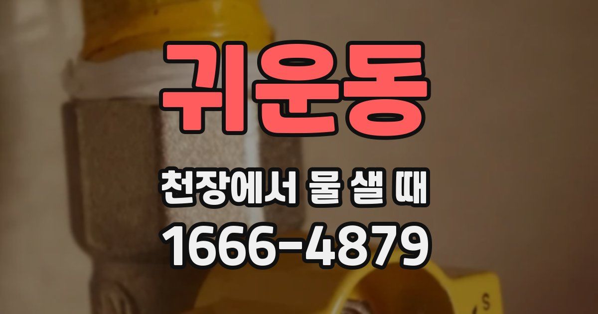귀운동 천장에서 물 샐 때