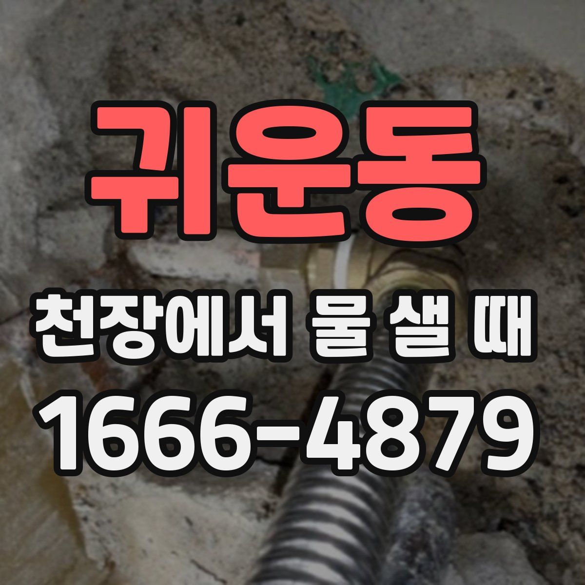 귀운동 천장에서 물 샐 때