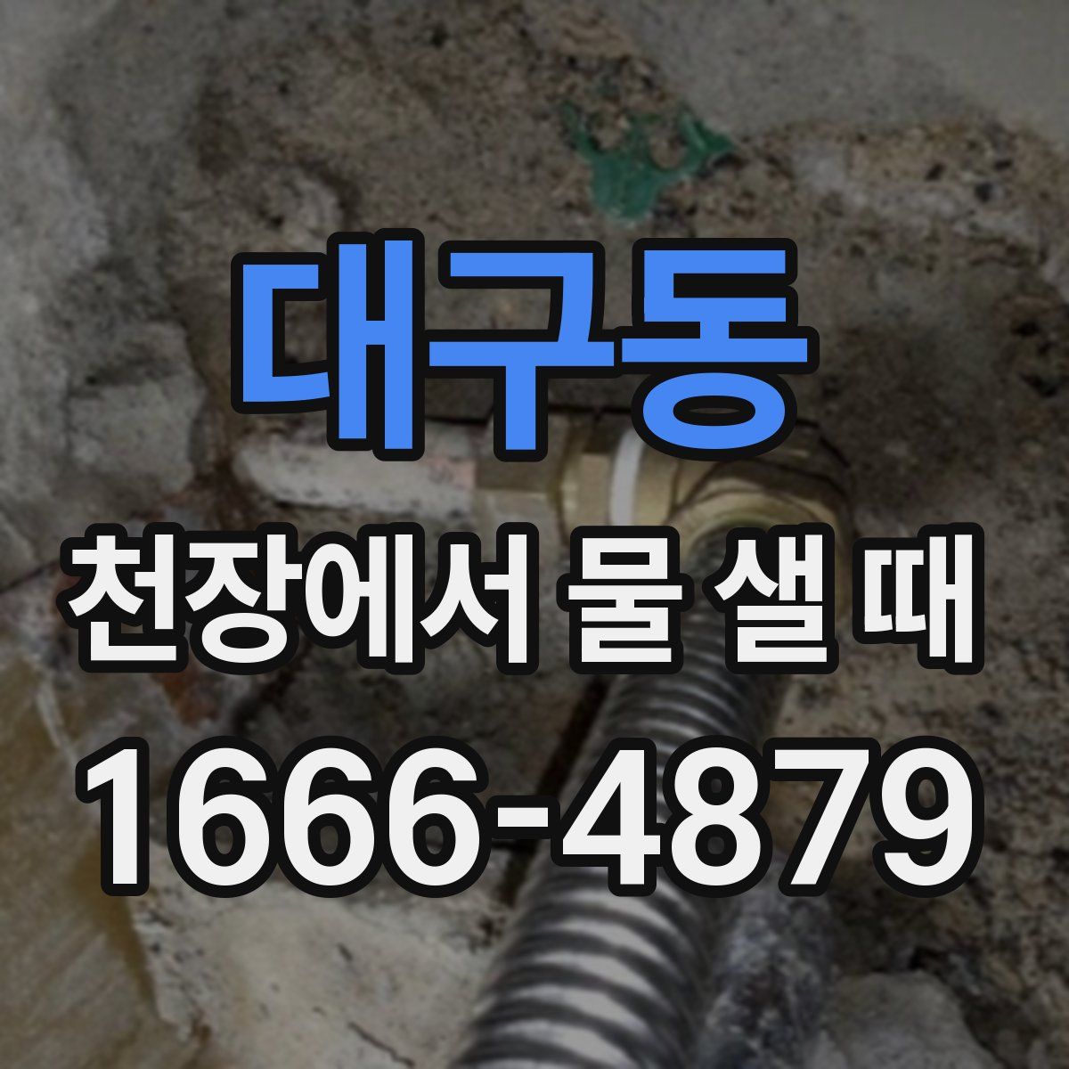 대구동 천장에서 물 샐 때