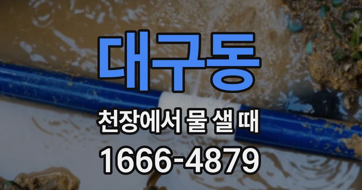 대구동 천장에서 물 샐 때