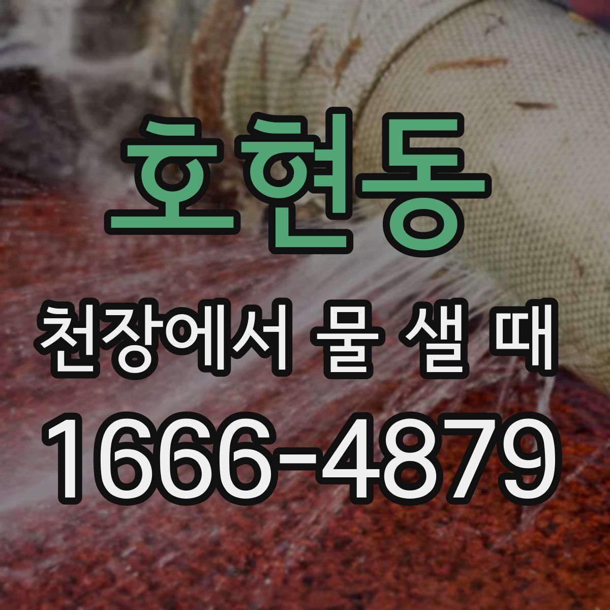 호현동 천장에서 물 샐 때