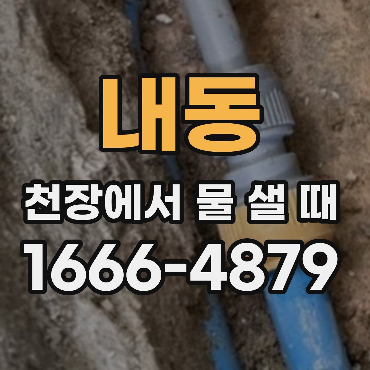 내동 천장에서 물 샐 때