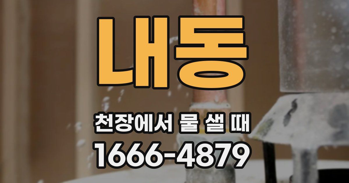 내동 천장에서 물 샐 때