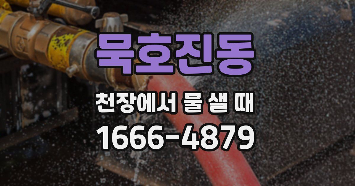 묵호진동 천장에서 물 샐 때