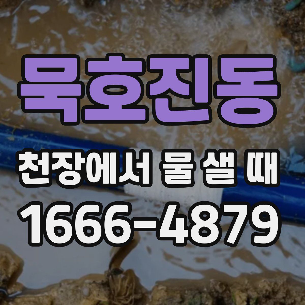 묵호진동 천장에서 물 샐 때