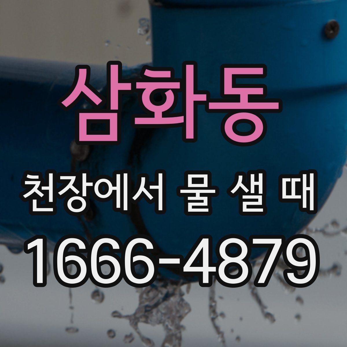 삼화동 천장에서 물 샐 때