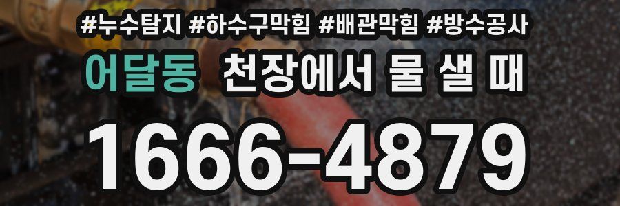 어달동 천장에서 물 샐 때