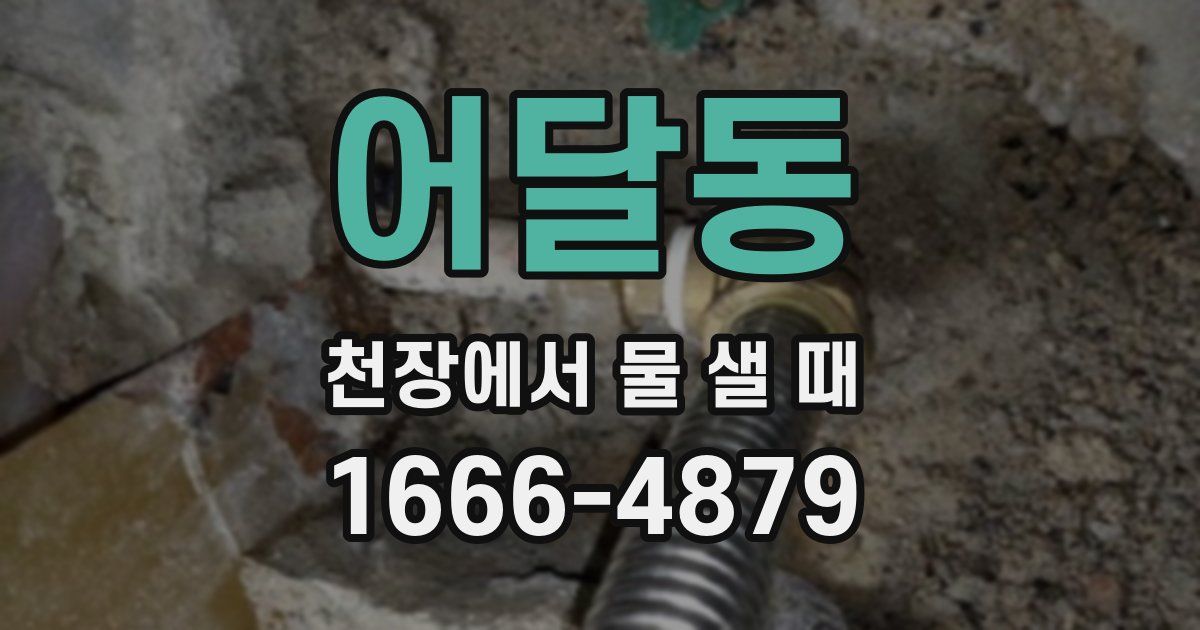 어달동 천장에서 물 샐 때