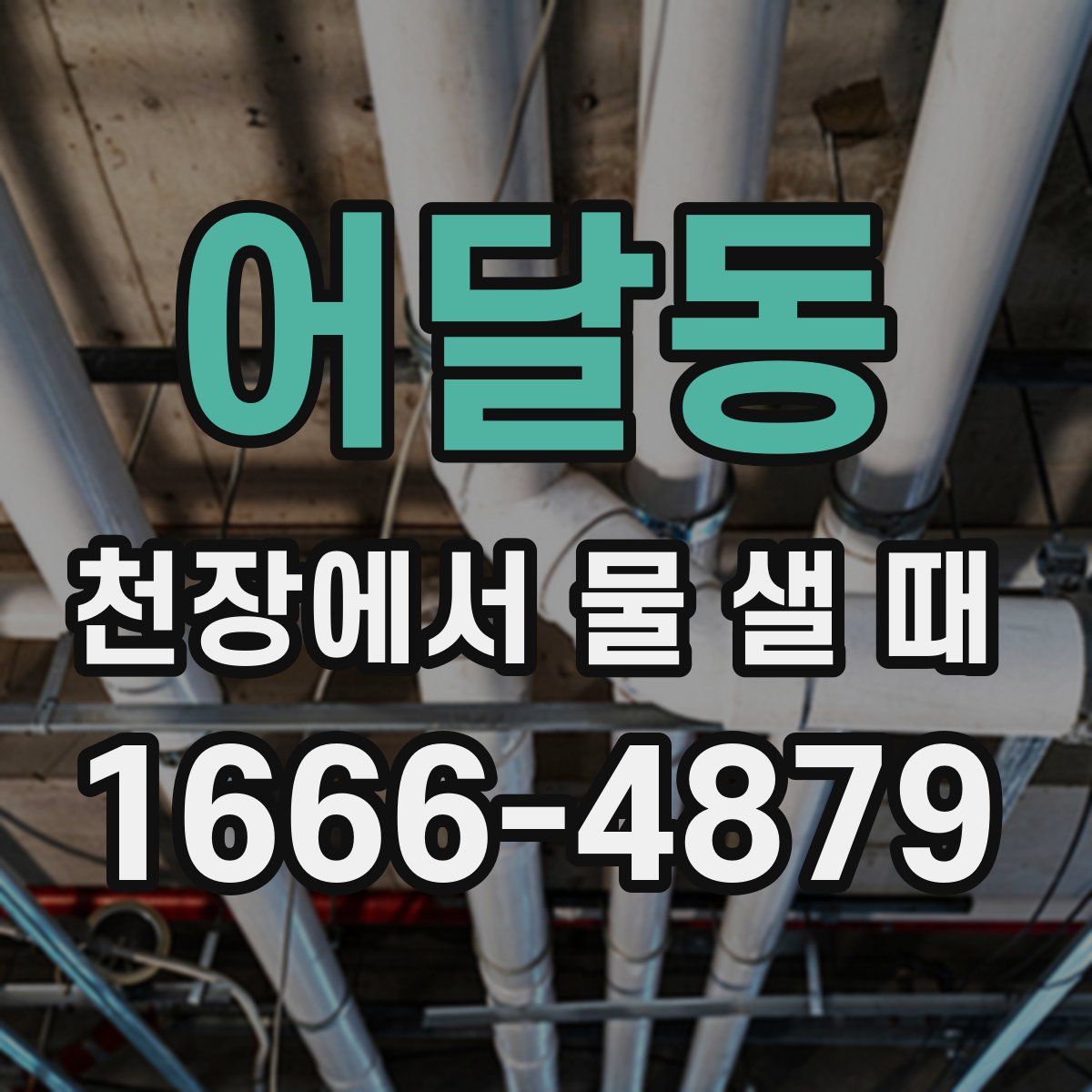 어달동 천장에서 물 샐 때