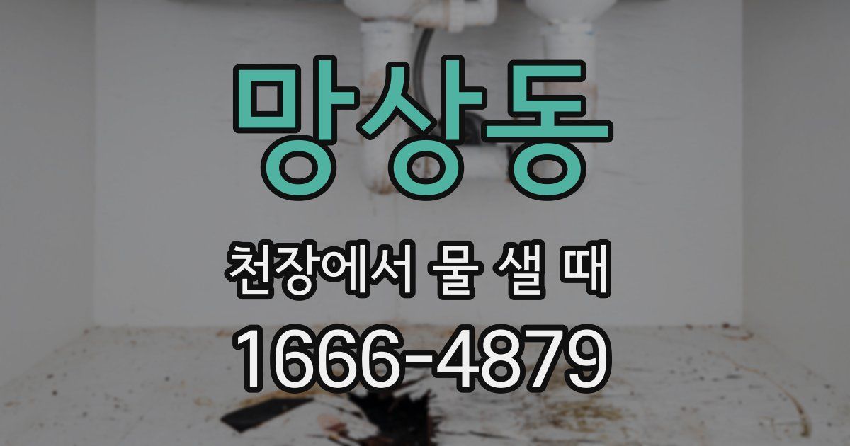 망상동 천장에서 물 샐 때