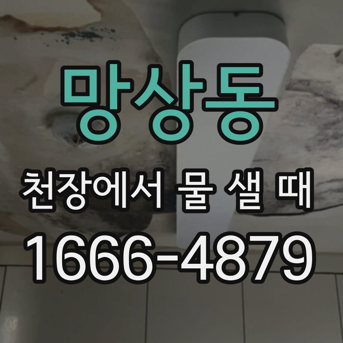 망상동 천장에서 물 샐 때