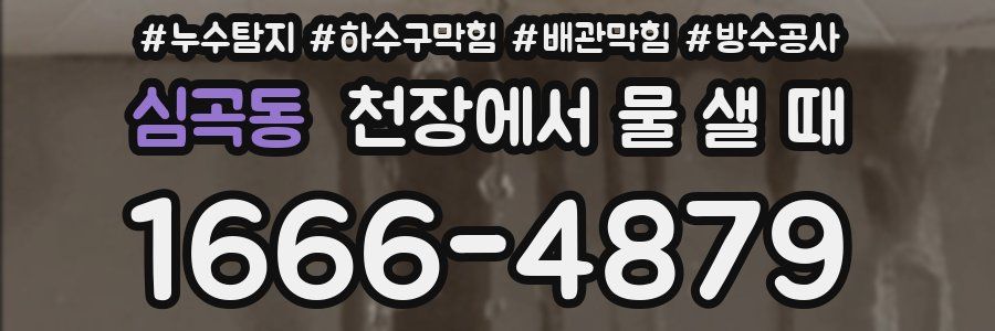 심곡동 천장에서 물 샐 때