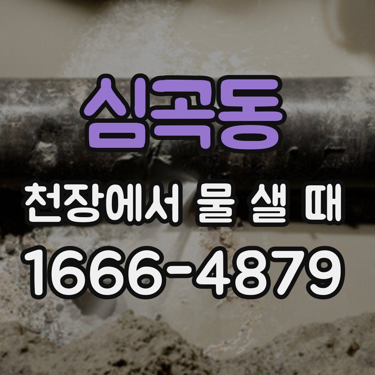 심곡동 천장에서 물 샐 때