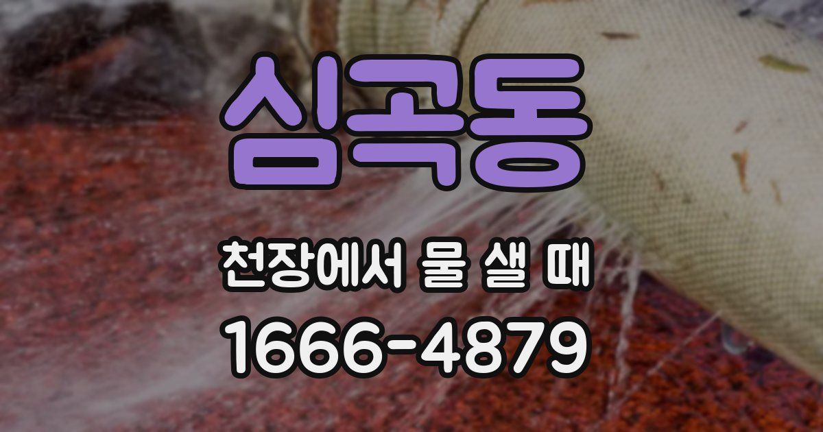 심곡동 천장에서 물 샐 때